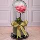 rosa preservada para regalar con cupula de cristal 